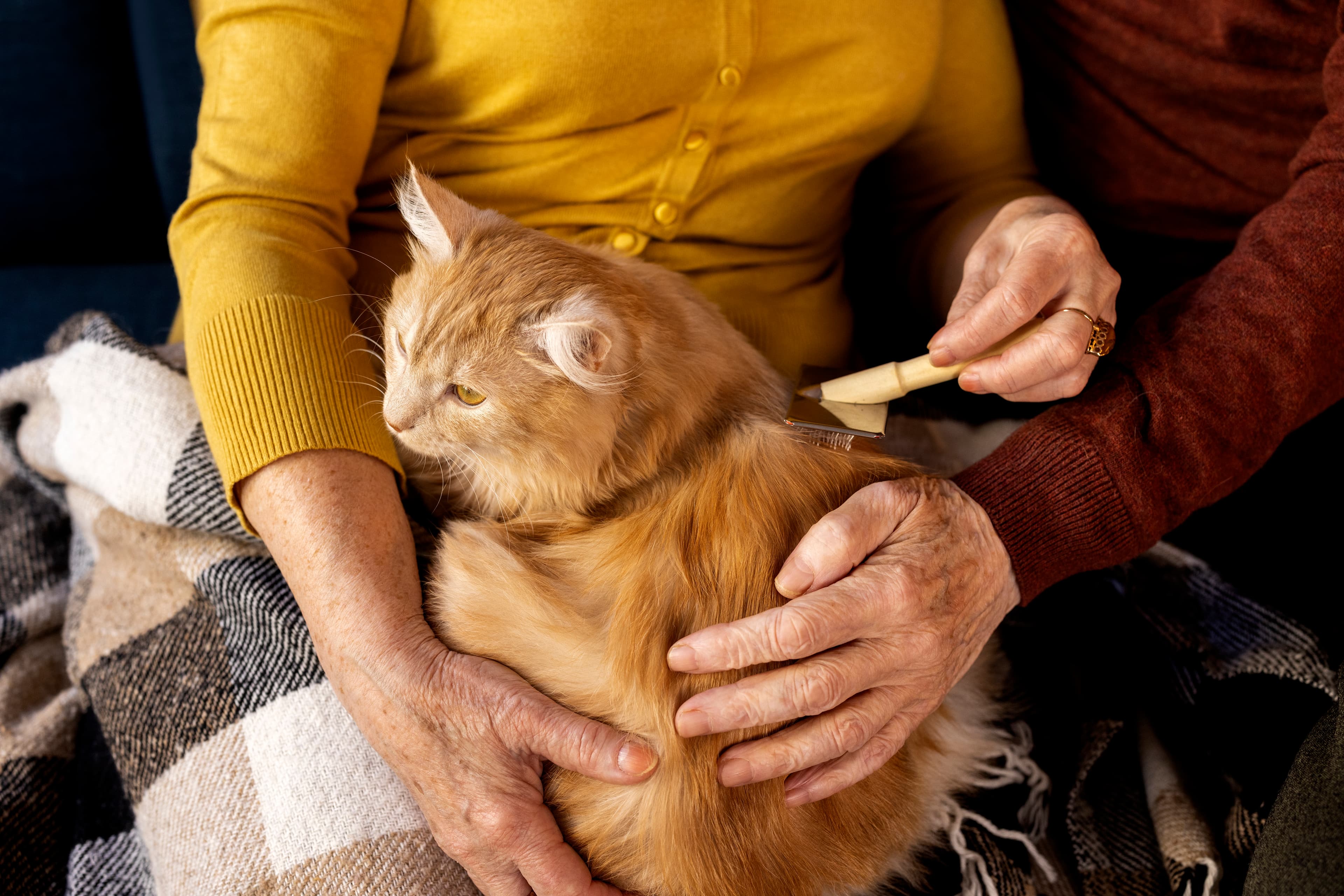 Foundations of Care