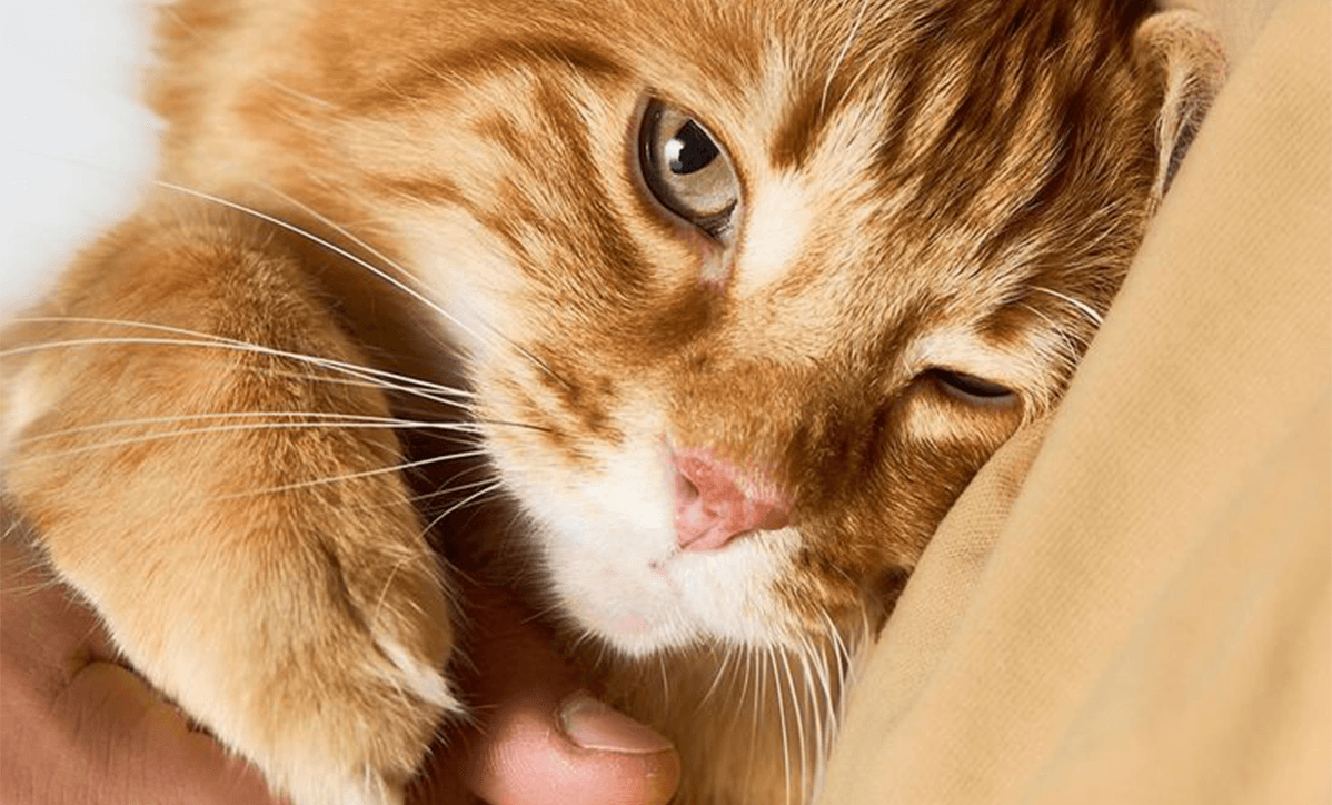 Foundations of Care