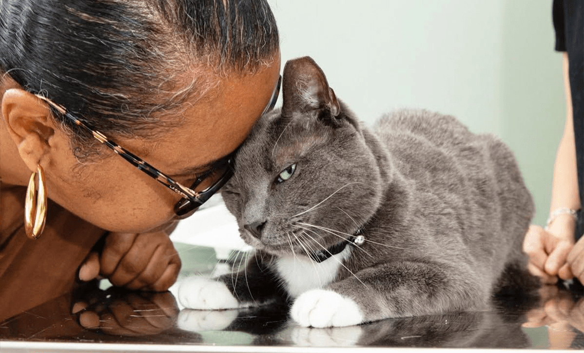 Lifestyle & Behavioural Care