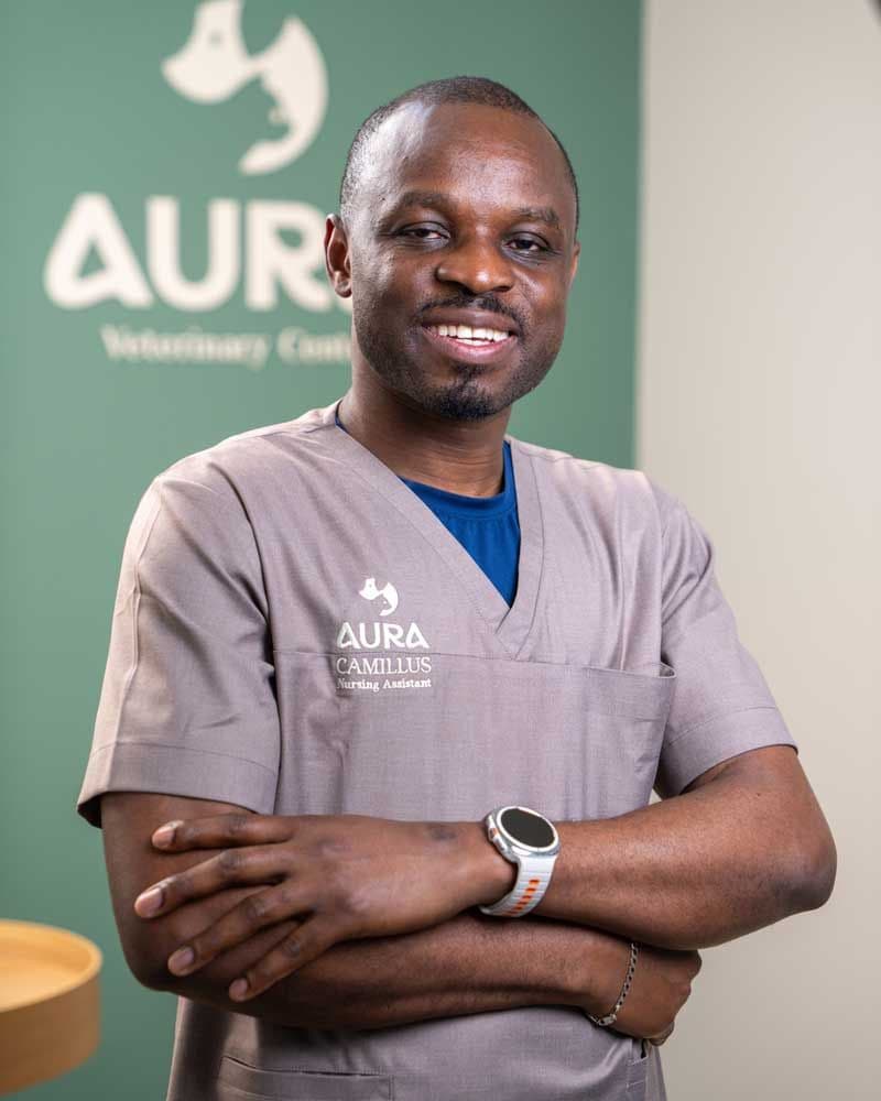 Camillus Chukwumezizi